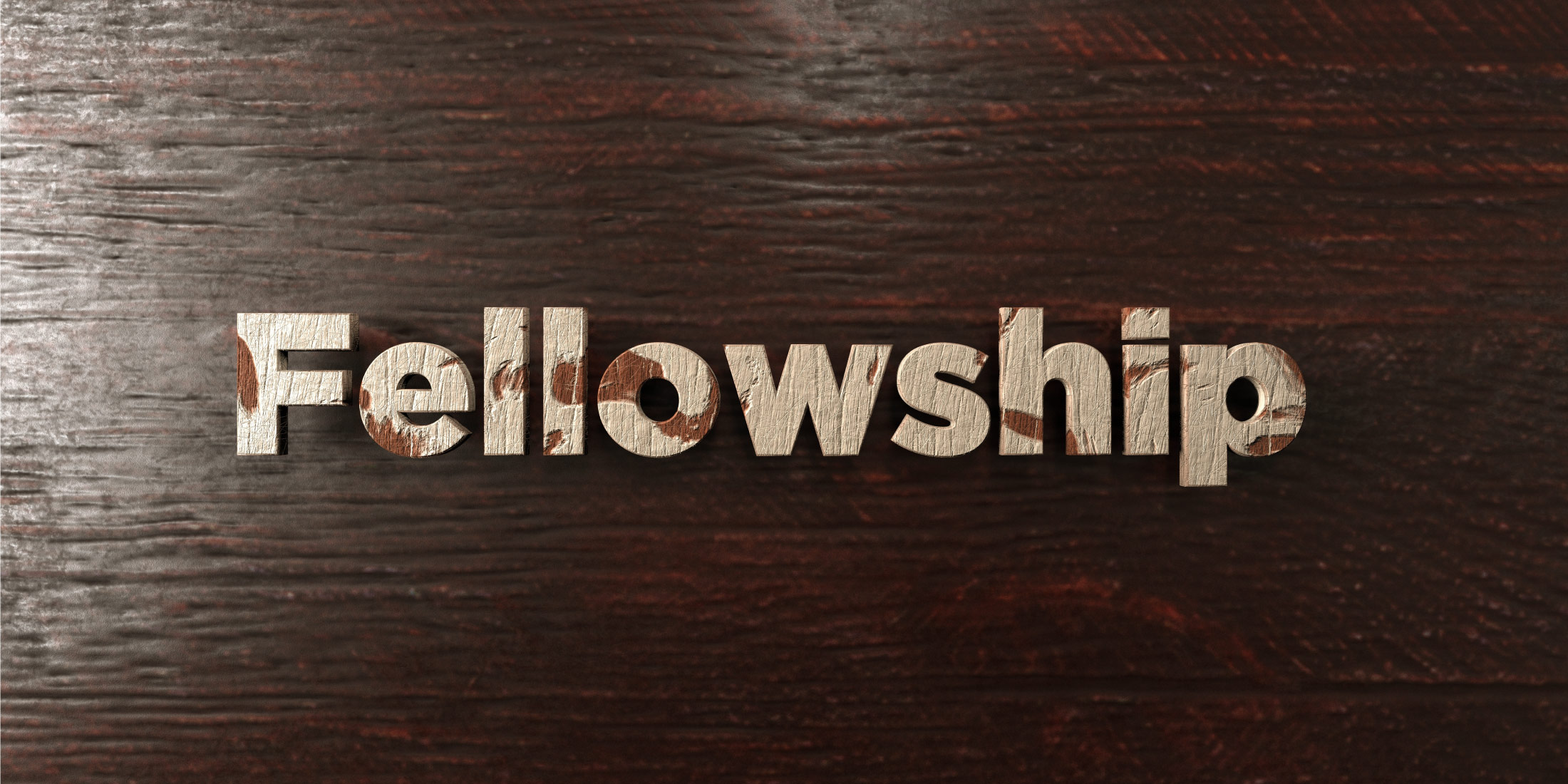 SMSNA Fellowship Program