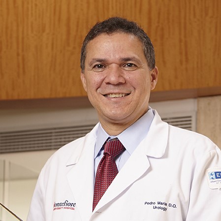 Montefiore Medical Center / Albert Einstein College of Medicine