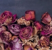 Is Vaginal Dryness Only a Post-Menopausal Issue?