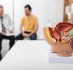 Guidelines for TRT in Prostate Cancer Patients