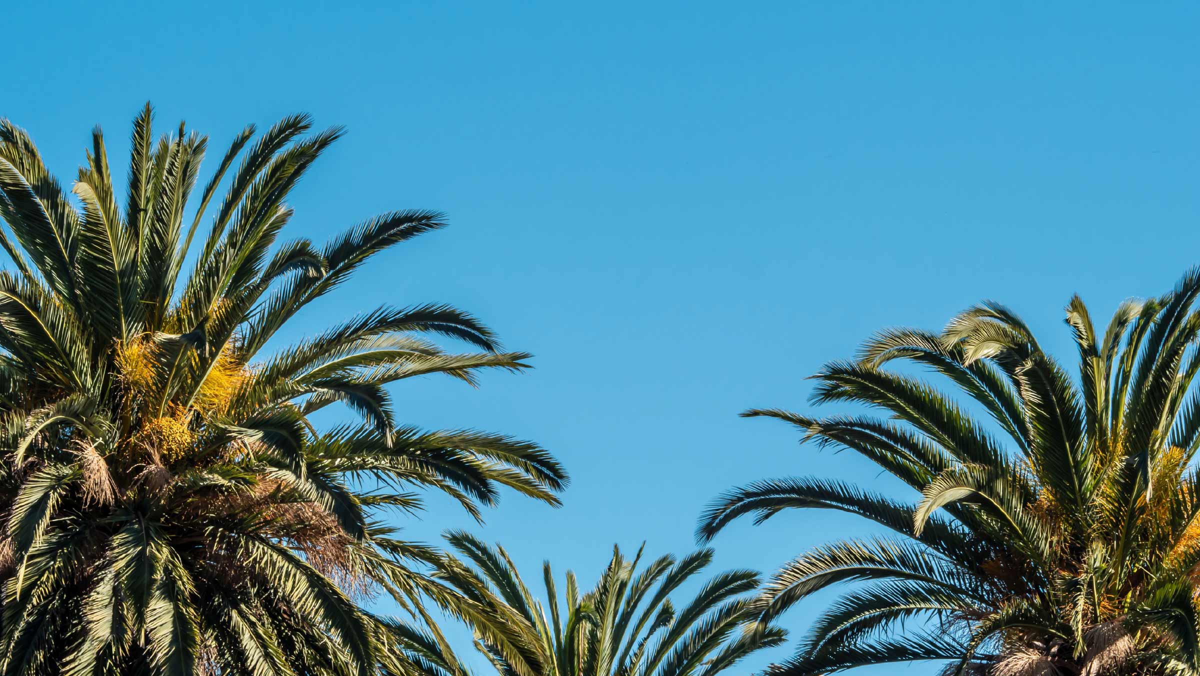 27th Annual Fall Scientific Meeting of SMSNA